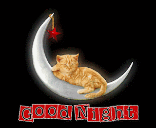 good_night_cat.gif