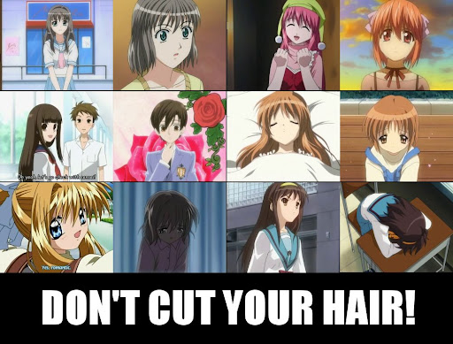 dont-cut-your-hair.jpg