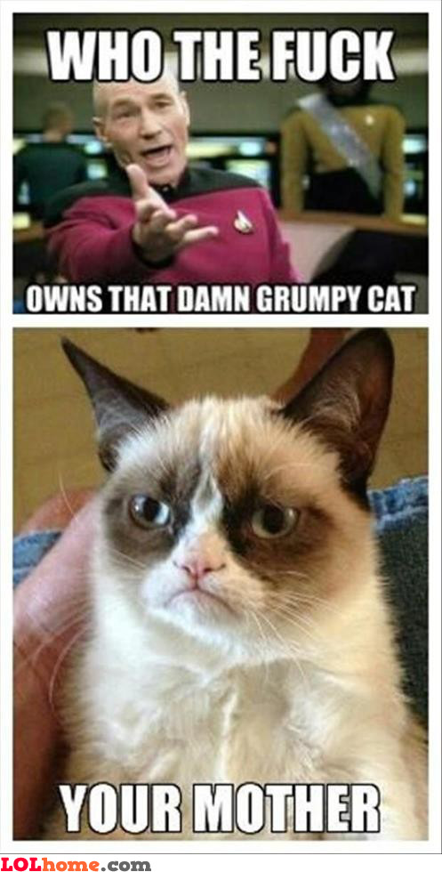 grumpy-cat-strikes.jpg