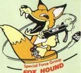 foxhound.jpg