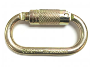 Carabiner-300x222.png