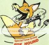foxhound.jpg