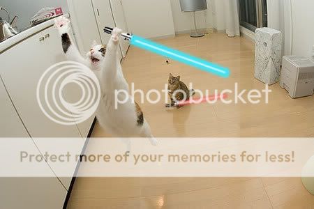 jumping_cats_with_lightsabers.jpg