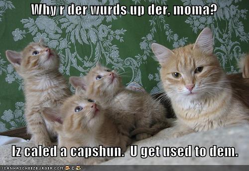 funny-pictures-mom-cat-teaches-kittens-about-captions.jpg