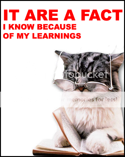 FactCat.png