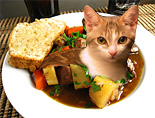 cat-soup.jpg