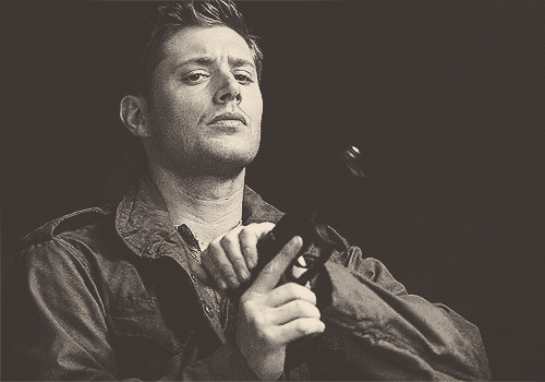 tumblr_mn8qknyt1H1ris53ko1_500.gif
