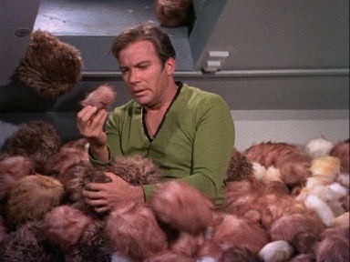 tribbles.jpg