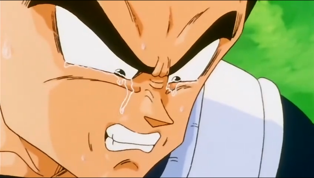 vegeta_crying_by_majinvegeta03-d930t2x.png