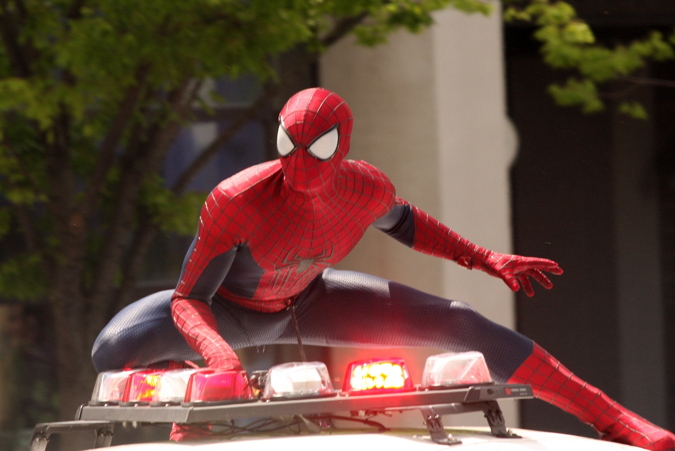 15-joyces-spidey-pic-5-9-13.jpg