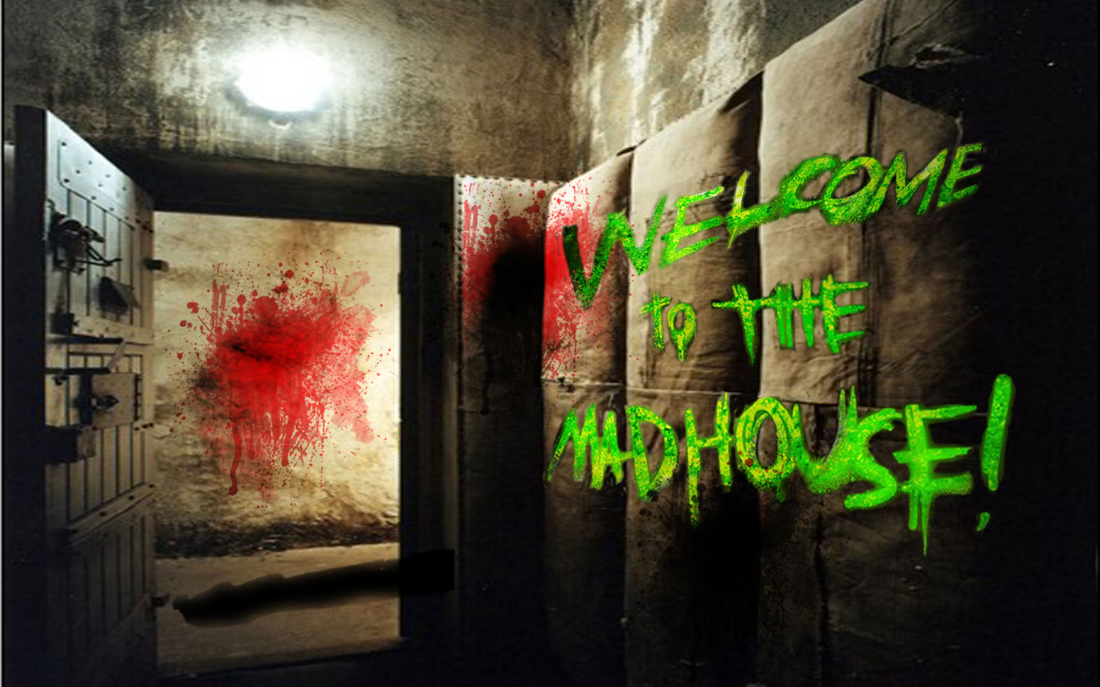 welcome-to-the-madhouse-copy4.jpg