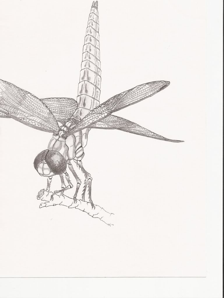 SCAN0011.jpg