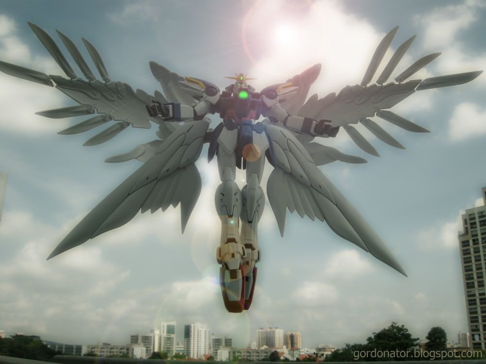 wingzero06editedzp1.jpg