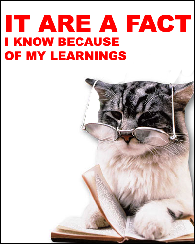 FactCat.png