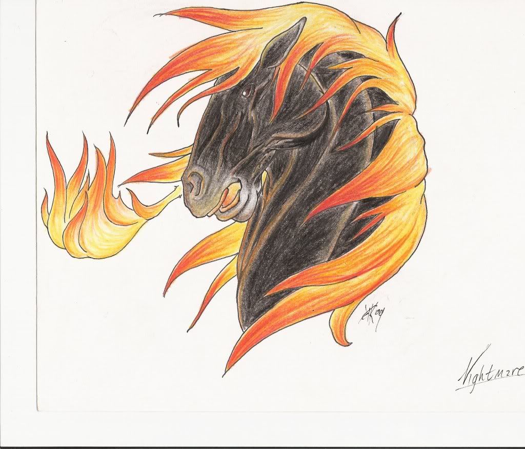 SCAN0010.jpg