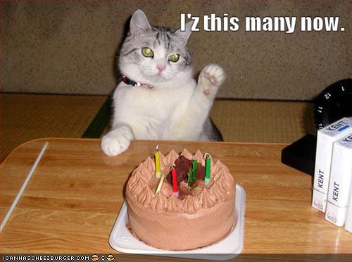 lolcat-birthday.jpeg
