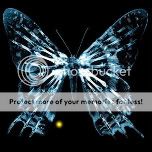 600px-ButterflyGlyph-1.jpg
