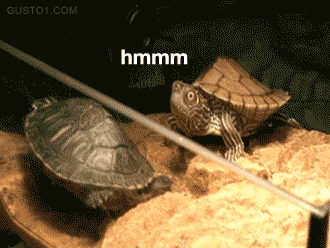 ThischannelNotocButdatass_d45068_4444940_zps993103a7.gif