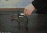 _0d8d52cda708359781ab8b5188929437_zpsc40af400.gif